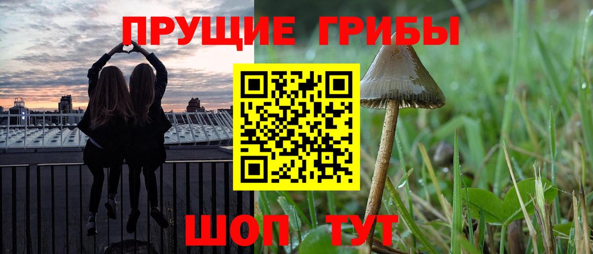 Псилоцибиновые грибы Magic Shrooms Вышний Волочёк